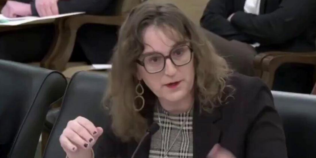 Dem Minnesota trans lawmaker claims 'queer kids' need to access porn for 'education'