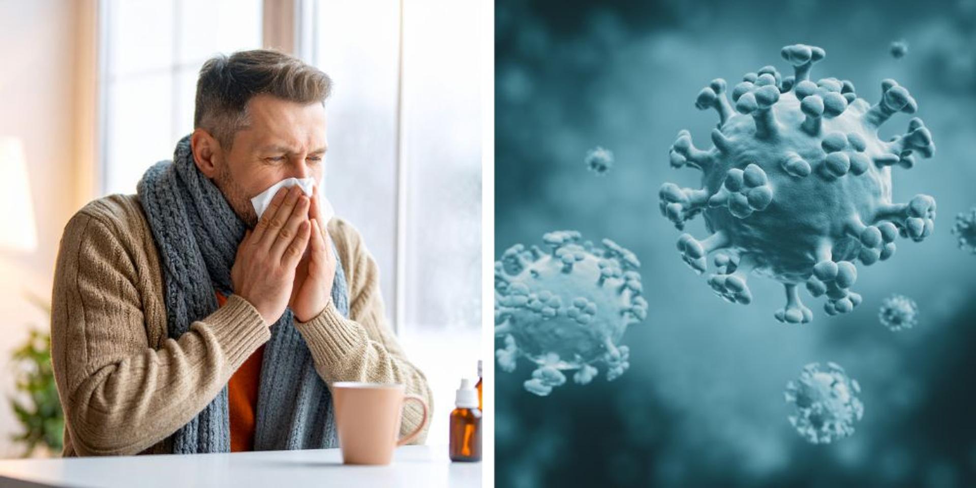 Severe flu strain 'Subclade K' spreading through US