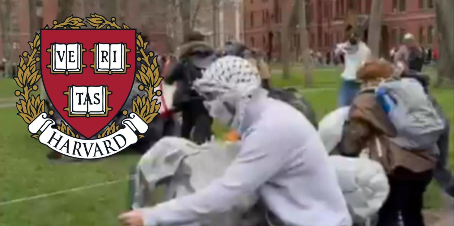 Harvard history prof ditches Ivy League for Florida's Hamilton in attempt to save Western Civilization