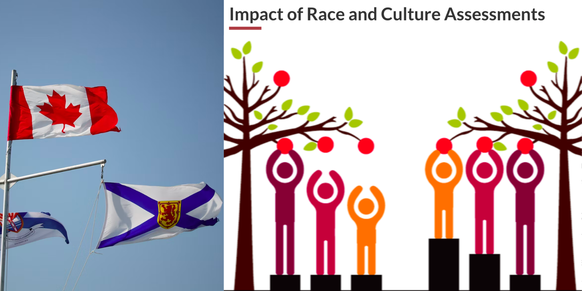 Nova Scotia courts explain away black offenders' crimes as 'racial battle fatigue'