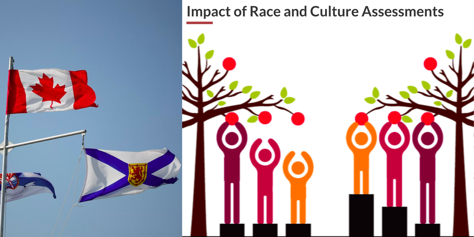 Nova Scotia courts explain away black offenders' crimes as 'racial battle fatigue'