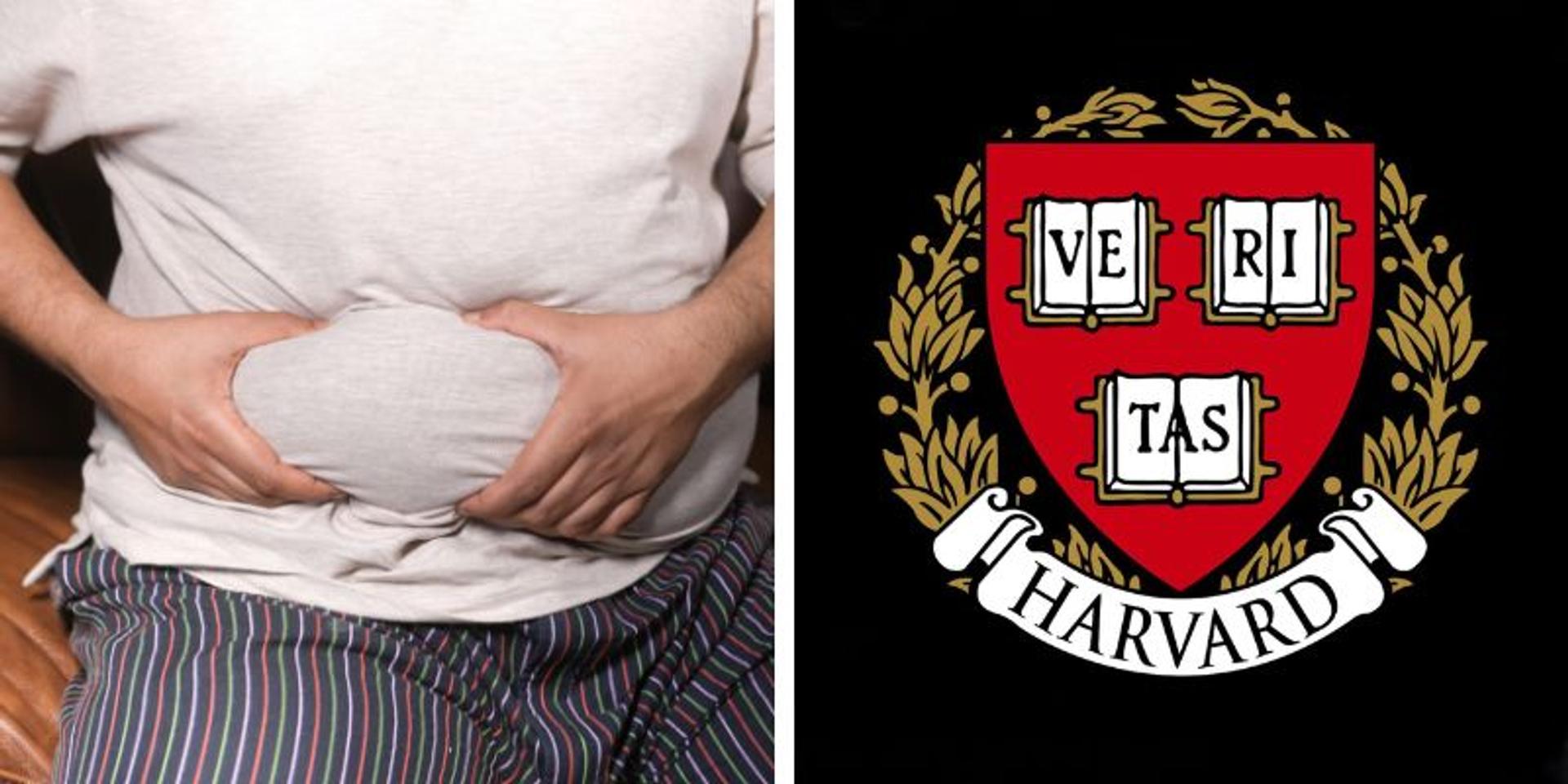 Up to 70% of Americans may be obese: Harvard study