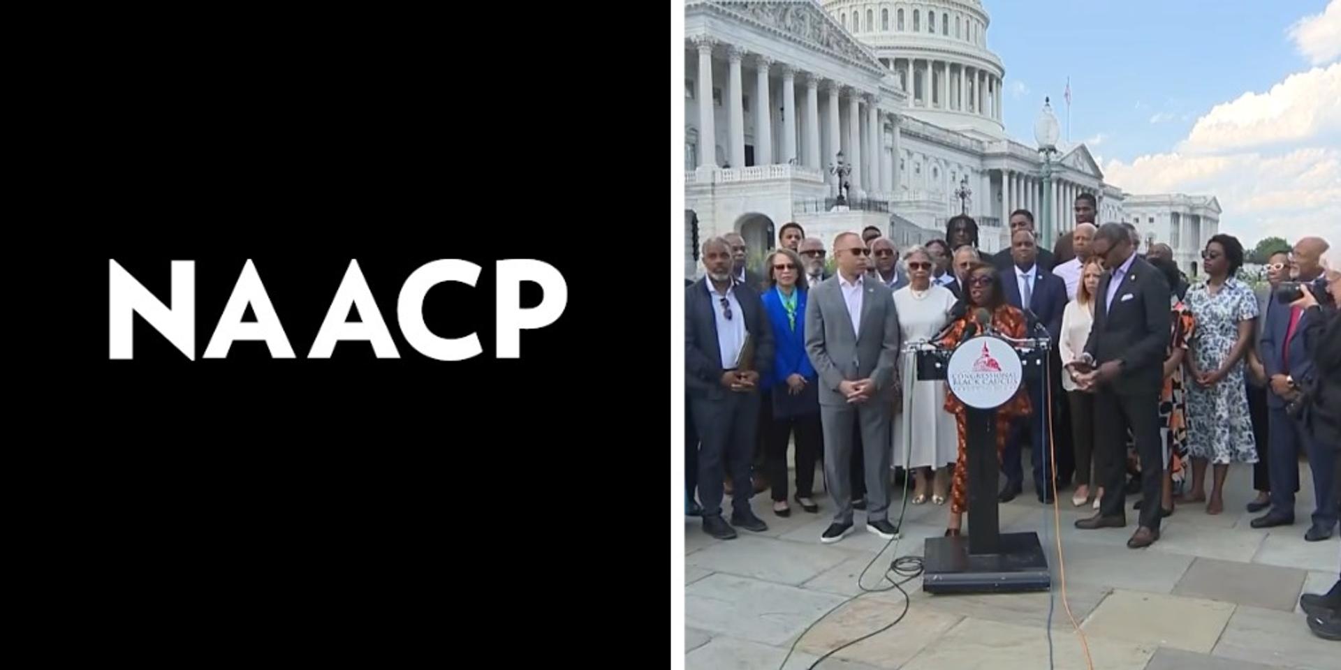 Democrats, NAACP promote segregation by urging black students to boycott southern college athletic programs over redistricting