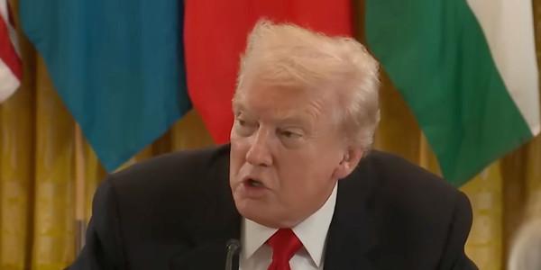 Trump promises $2,000 tariff dividend payment to every American