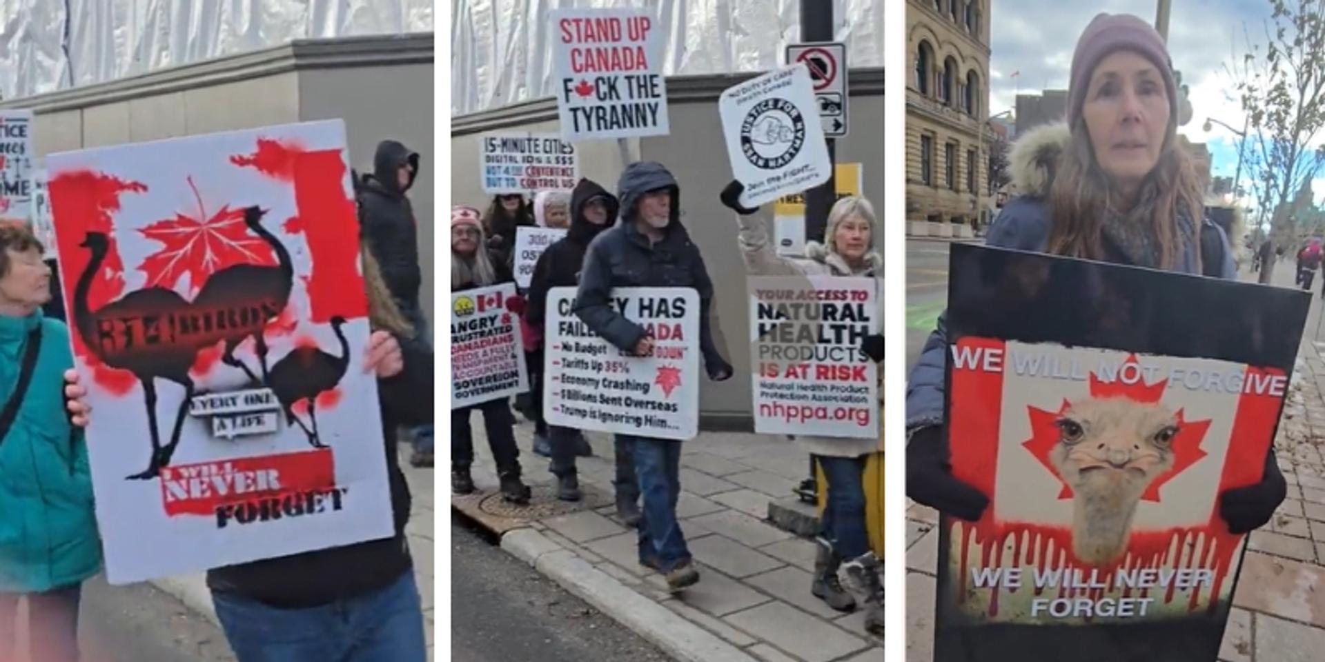 Woman at Ottawa farmer’s rally says police tried to intimidate her with photo ahead of event