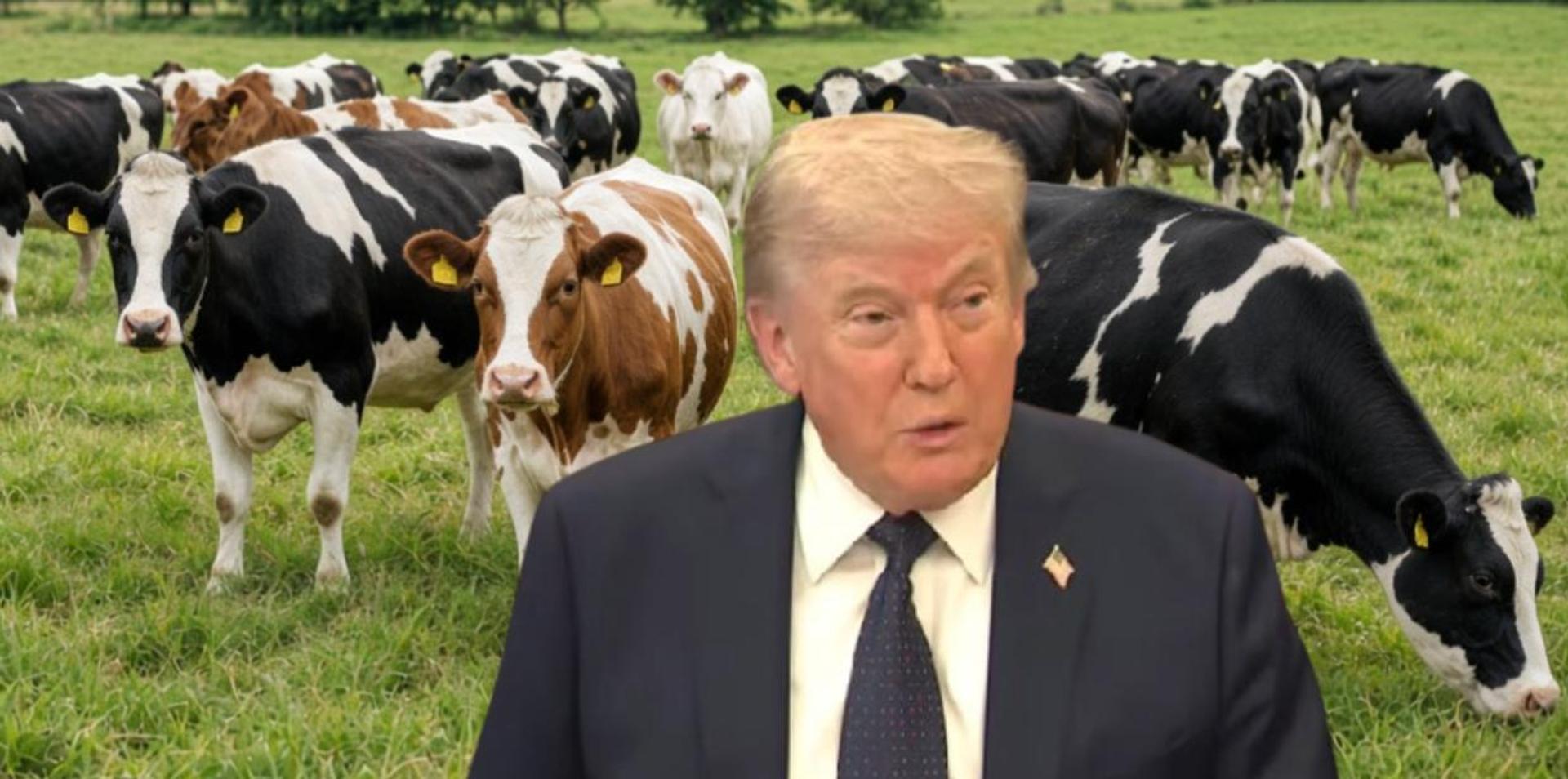 Trump makes deal to bring 300,000 tons of imported beef to US to lower consumer costs
