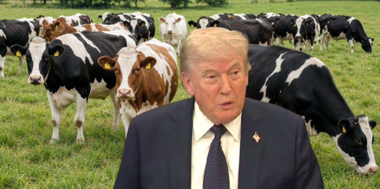 Trump makes deal to bring 300,000 tons of imported beef to US to lower consumer costs