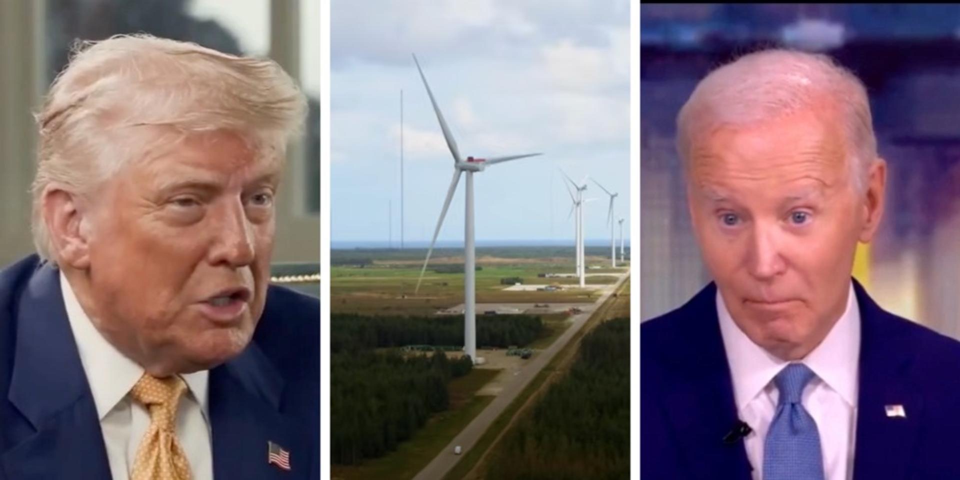 Trump admin cancels Biden's massive wind farm plans