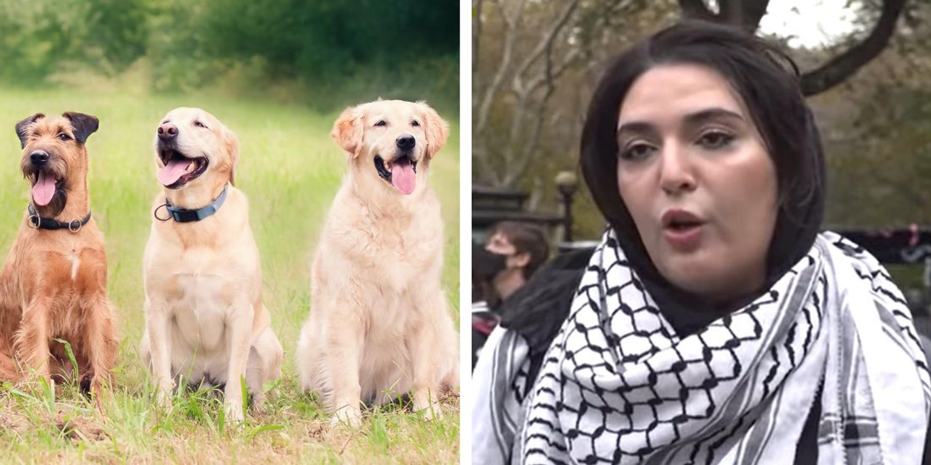 Pro-Palestinian activist Nerdeen Kiswani demands ban of pet dogs in NYC over Islam—claims it's a 'joke' after backlash
