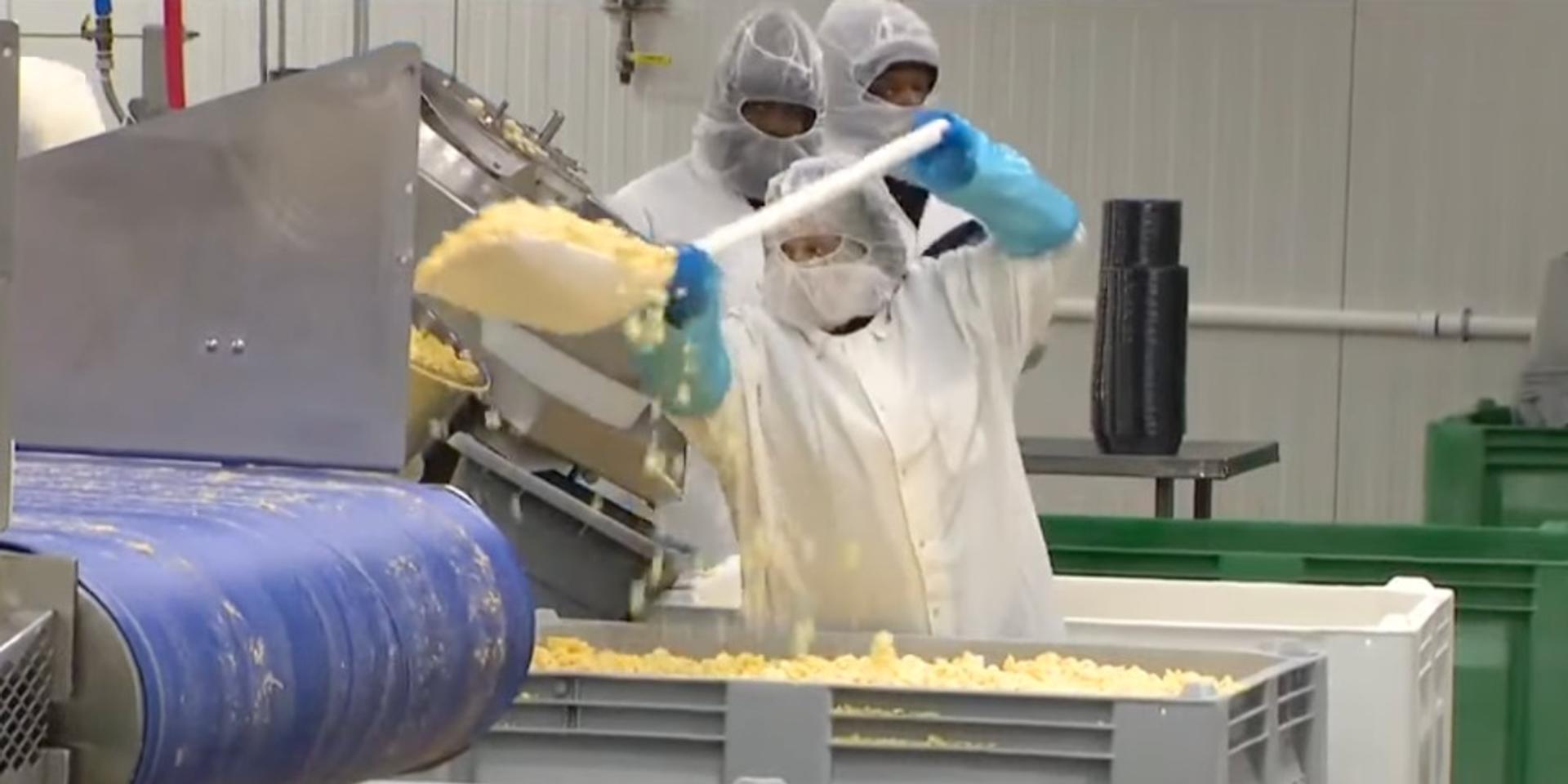Charleroi, PA meatpacking plant to shut down after federal investigation into undocumented workers, migrants face unemployment