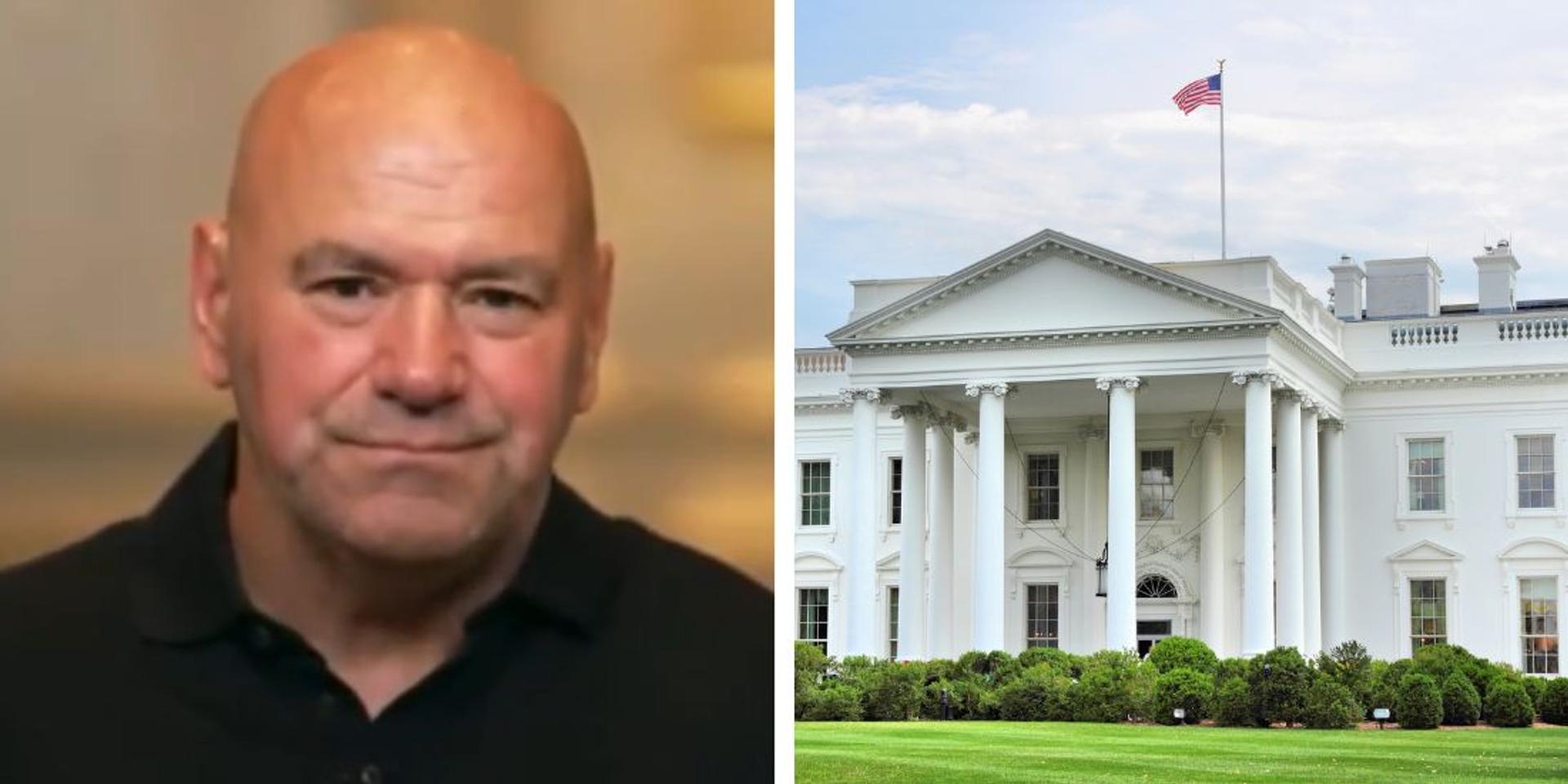 NEW: Dana White confirms UFC to hold July 4 fight at White House for America's 250th birthday