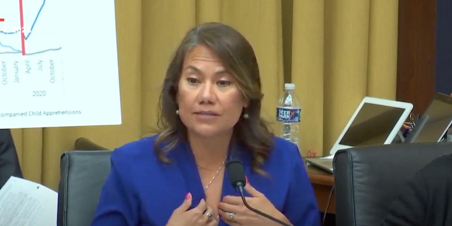 Dem rep calls for 'civic resistance,' people 'marching in the streets' against Trump
