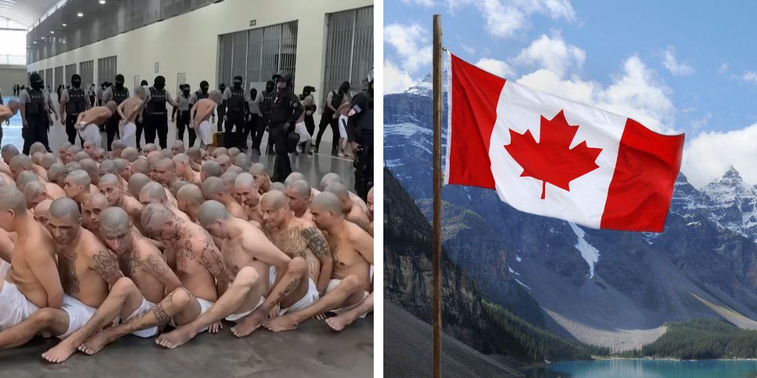 Convicted Honduran MS-13 gang member permitted to stay in Canada by judge