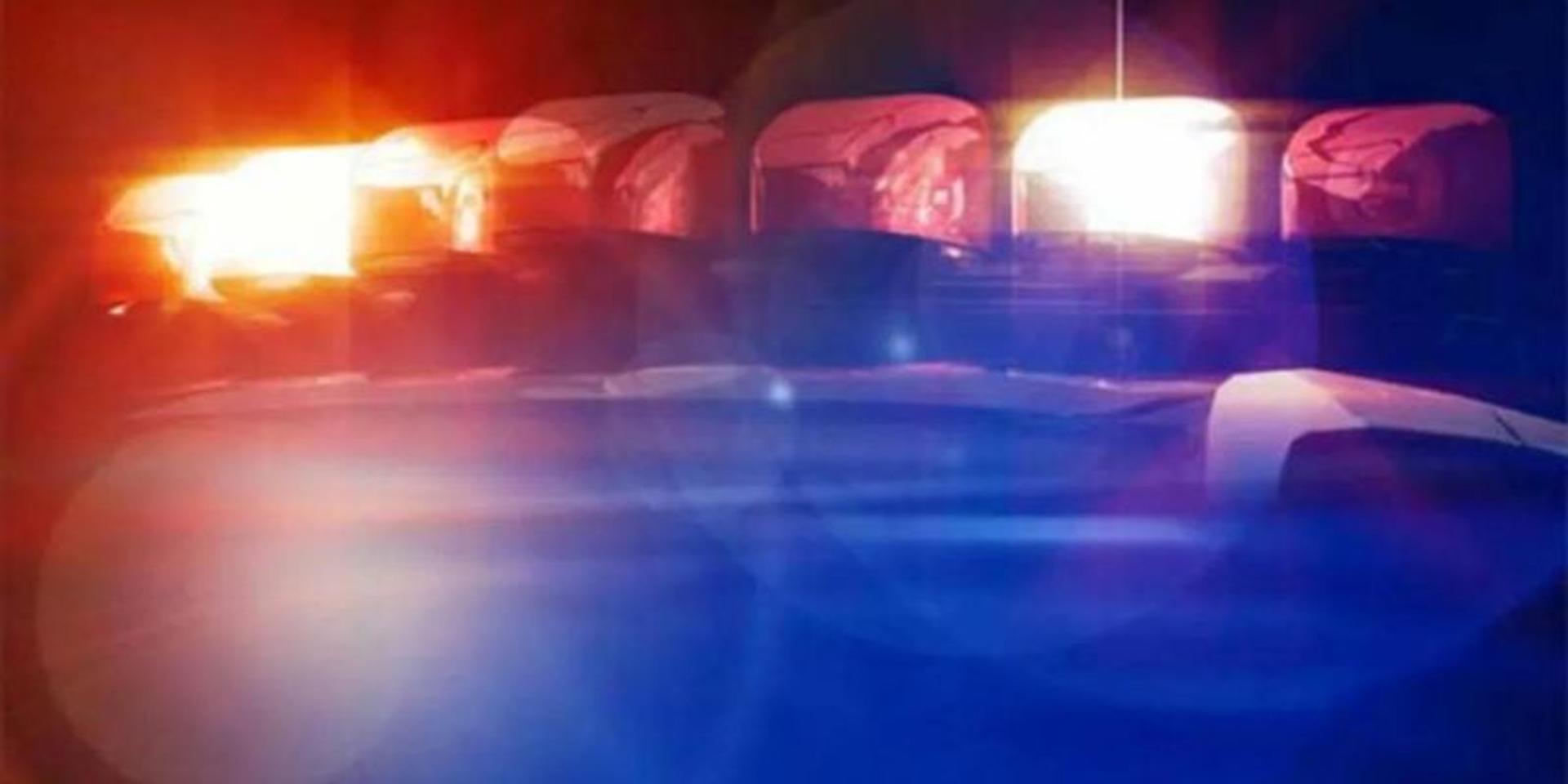 Five-day-old Michigan baby mauled to death by family dog: police
