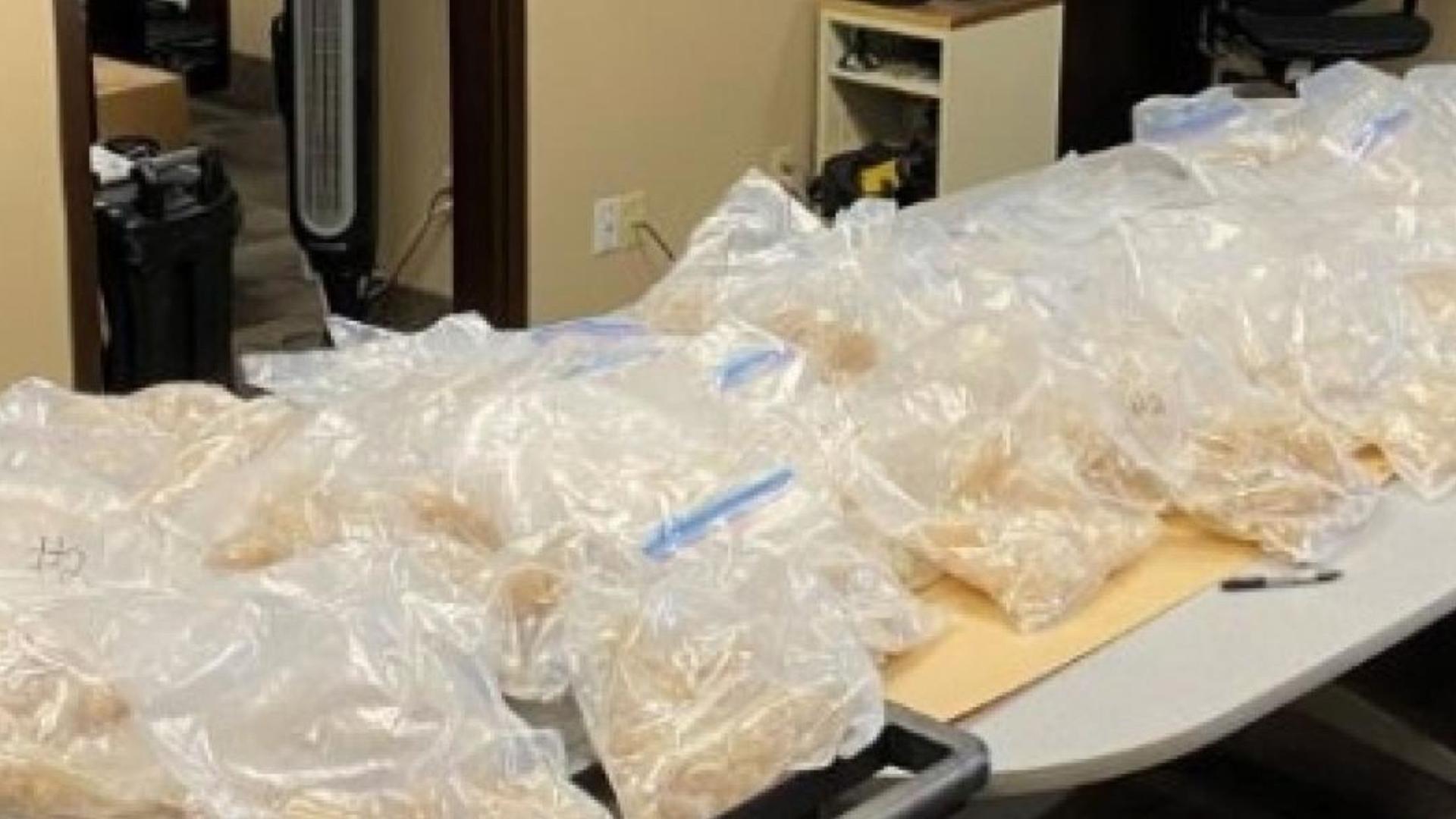 Indian national sentenced to 17 years for smuggling $8 million of MDMA across US-Canada border