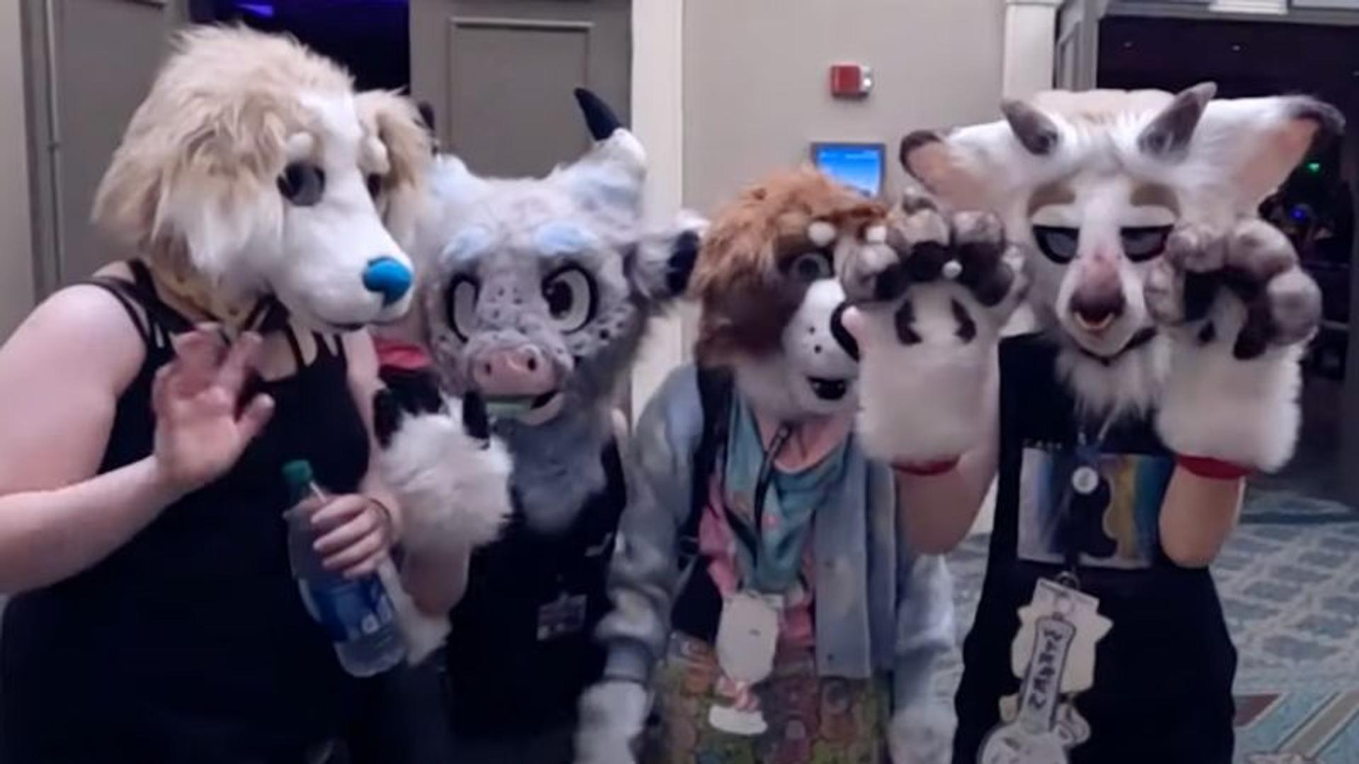 Student furry group approved at New York's SUNY Plattsburgh
