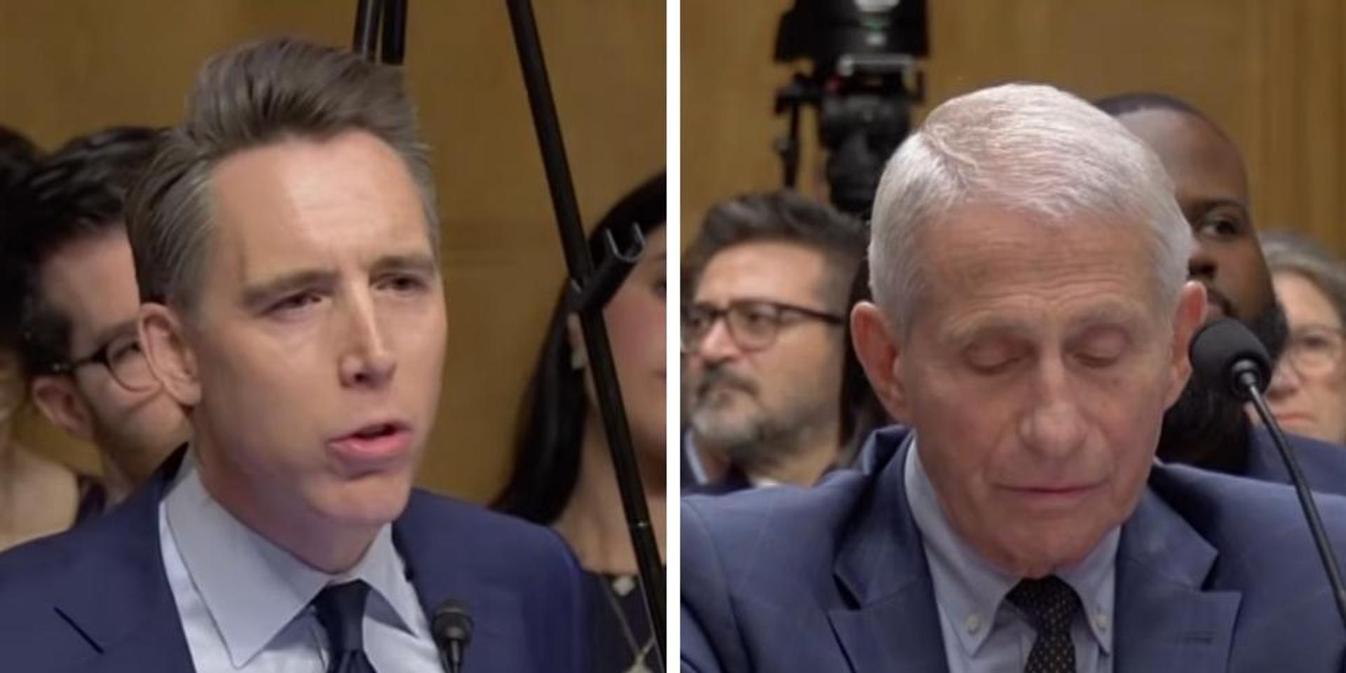 'You got rich while people were dying': Hawley grills Fauci over amassing wealth during Covid
