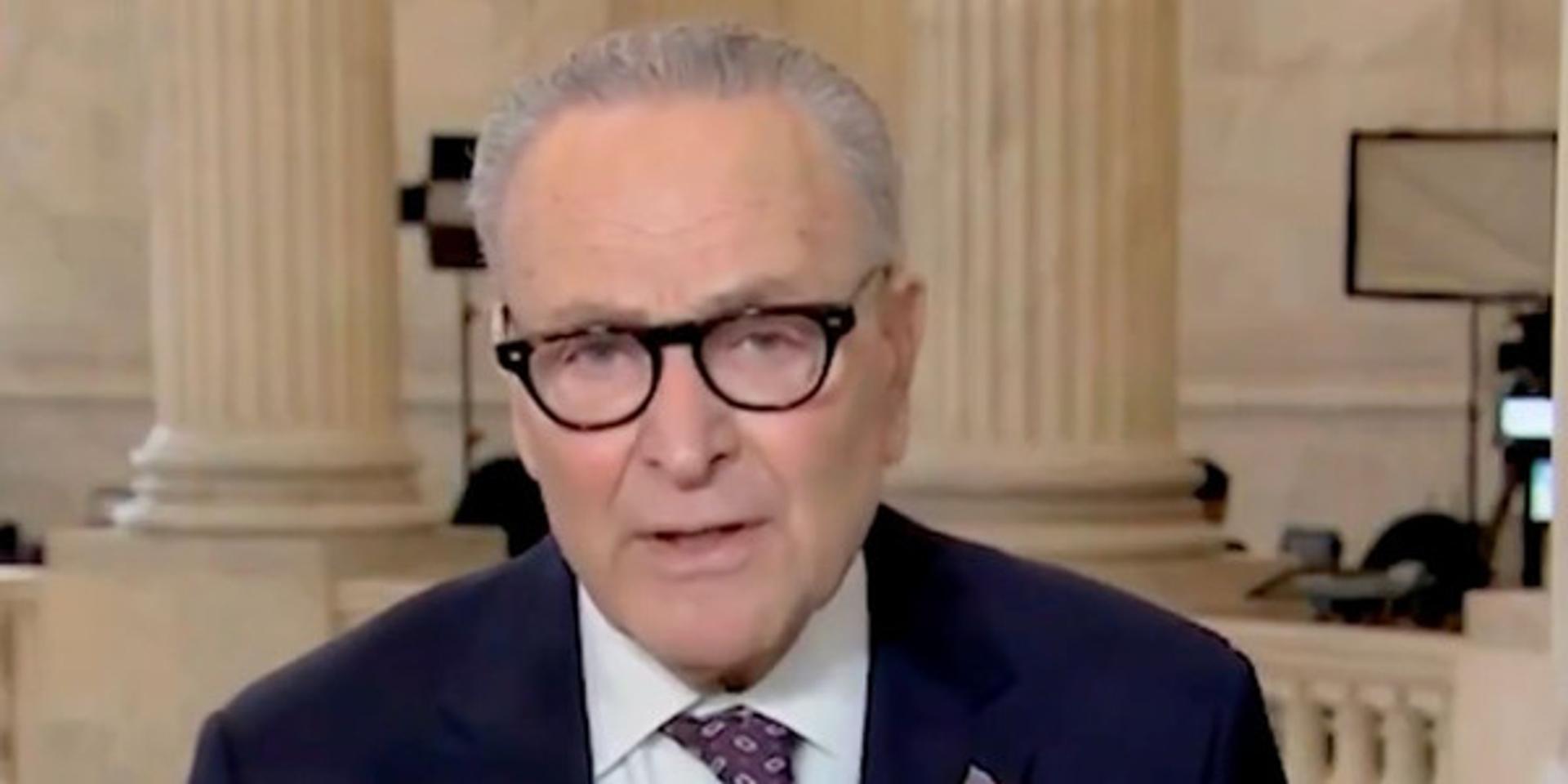 Chuck Schumer calls for mass amnesty for 11 MILLION illegal immigrants