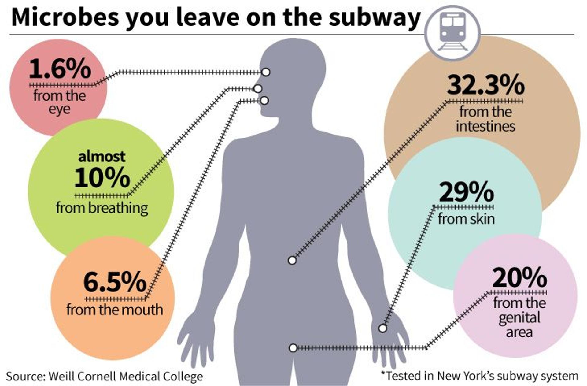 Image result for germs on public transportation