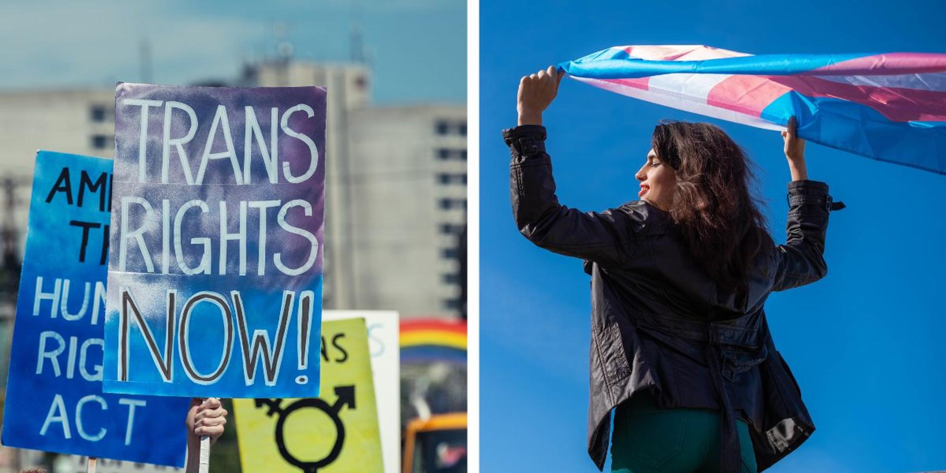 REVEALED: Intimate partner violence—not transphobia—primary cause of trans murder: report