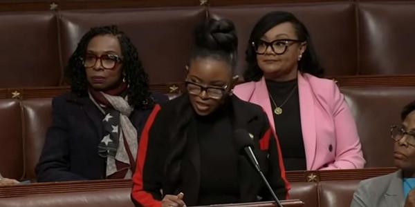 Jasmine Crockett defends claim Lee Zeldin took Jeffrey Epstein donations—even though it was a totally different Jeffrey Epstein