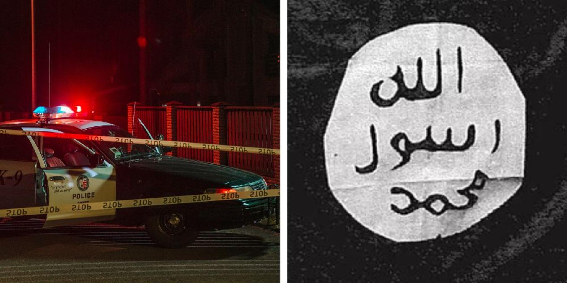 NJ man linked to '746' cyber crime network charged with cyberstalking minor female, had plans to join ISIS