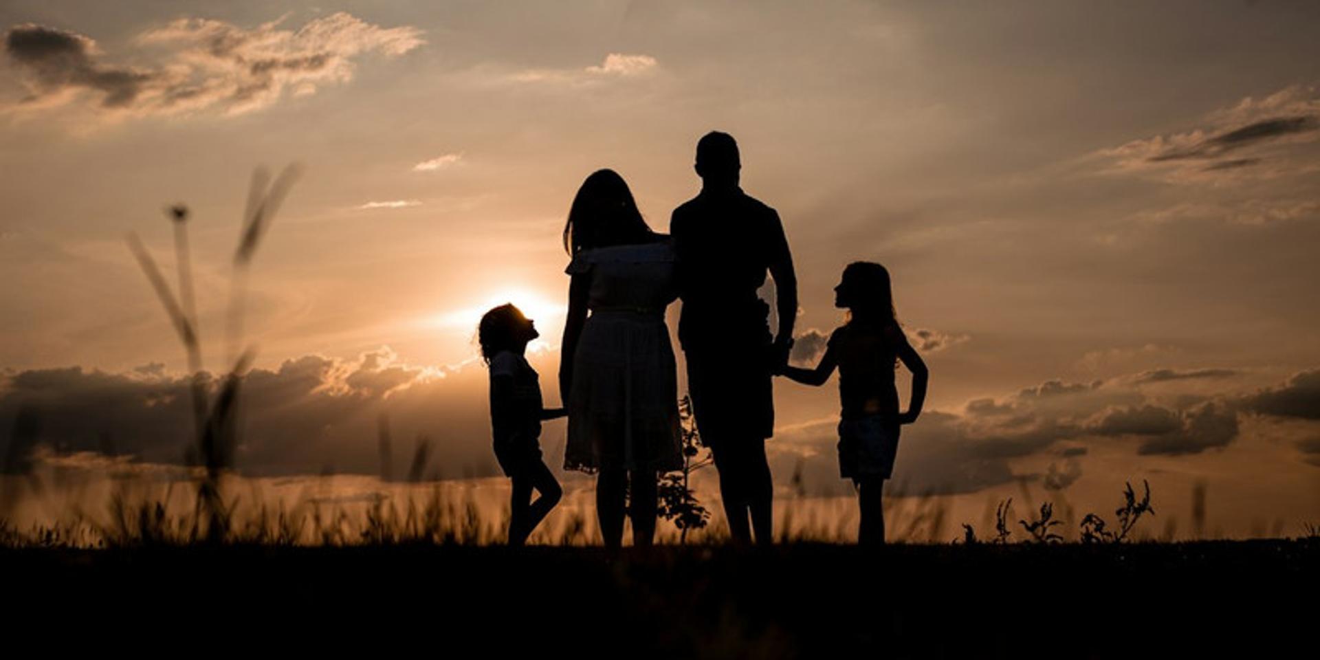 Nuclear families in drastic decline in cities as suburbs become 'marriage gardens': IFS study