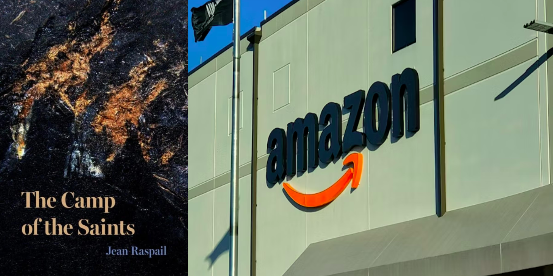 Publisher Vauban Books says Amazon pulled listings for print editions of 'The Camp of the Saints' over 'offensive content'