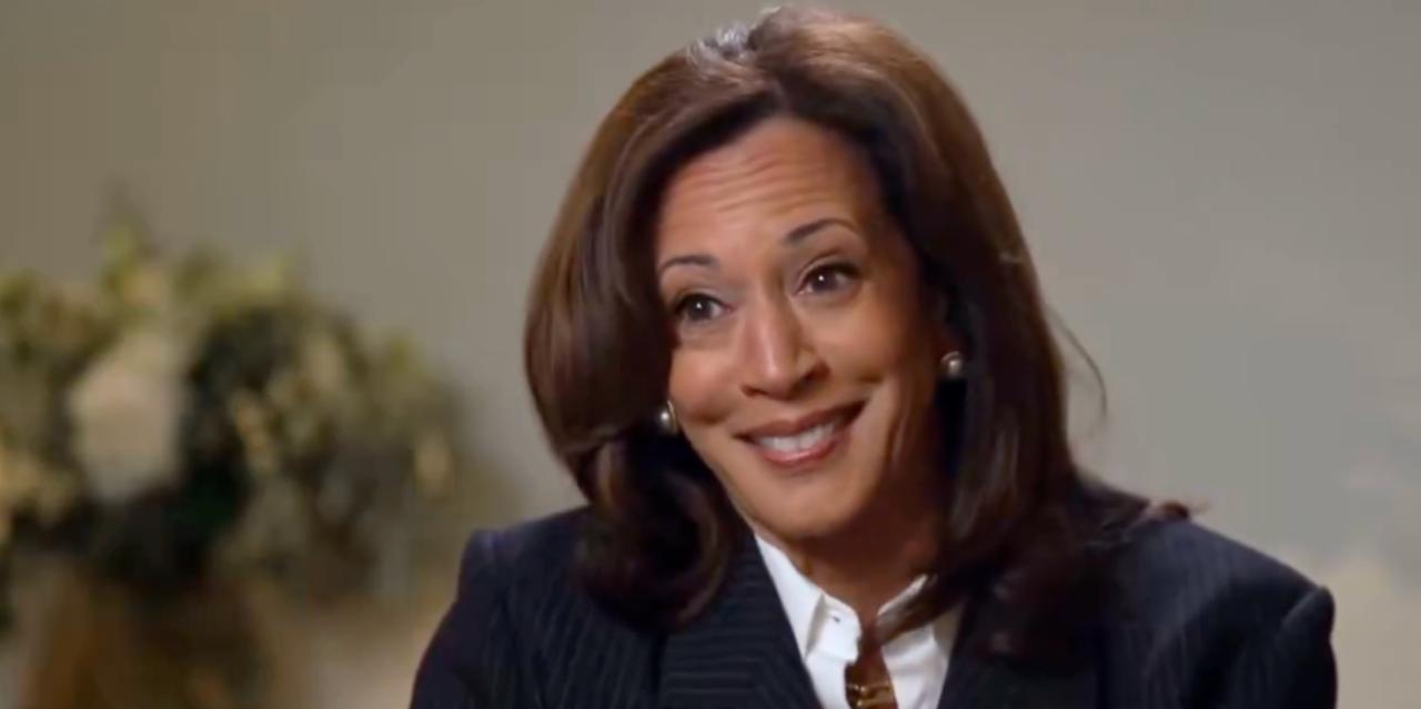 Kamala Harris says she may run for president AGAIN after complete failure in 2024
