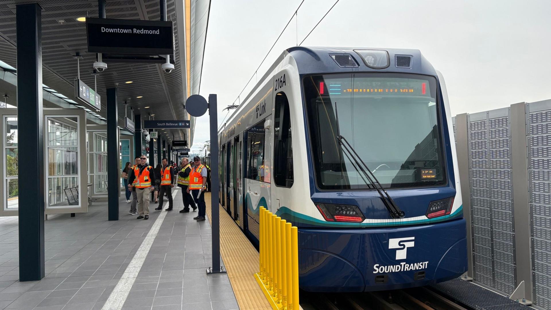 Sound Transit's new line blamed for electrocuting fish in Lake Washington