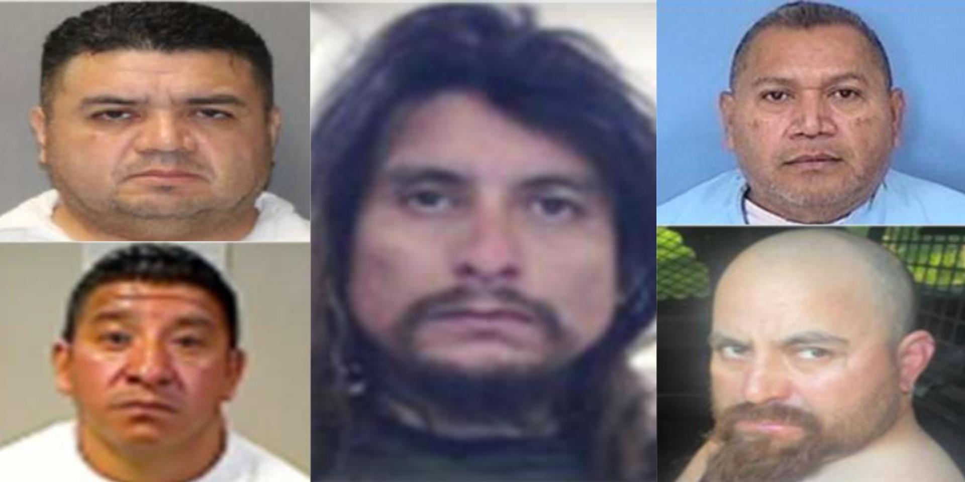 EXCLUSIVE: ICE arrests 'worst of the worst' illegal immigrants convicted of sex crimes against children