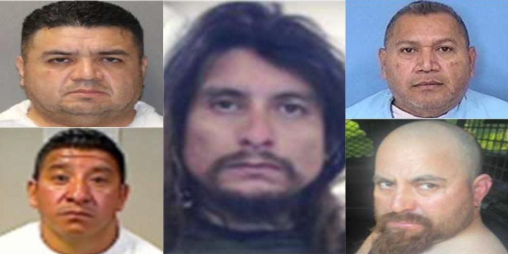 EXCLUSIVE: ICE arrests 'worst of the worst' illegal immigrants convicted of sex crimes against children