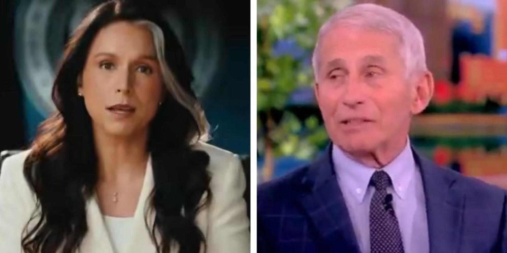 Tulsi Gabbard declassifies docs exposing Fauci's 'lies, disinformation, censorship' over Covid-19 origins