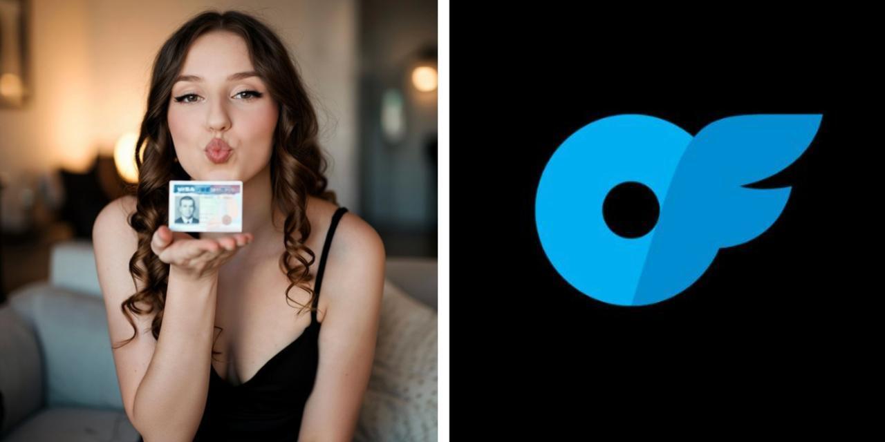 US issues increasing number of 'extraordinary' artist visas to OnlyFans 'models': report