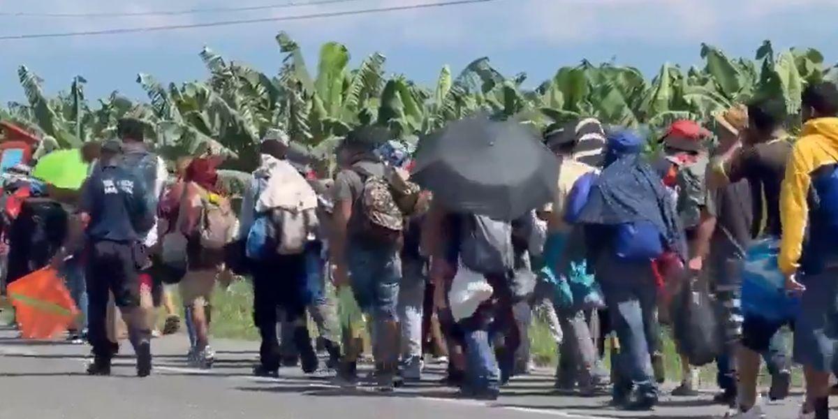 Mass caravan of migrants heads to US border in anticipation of Democrats' open border policies