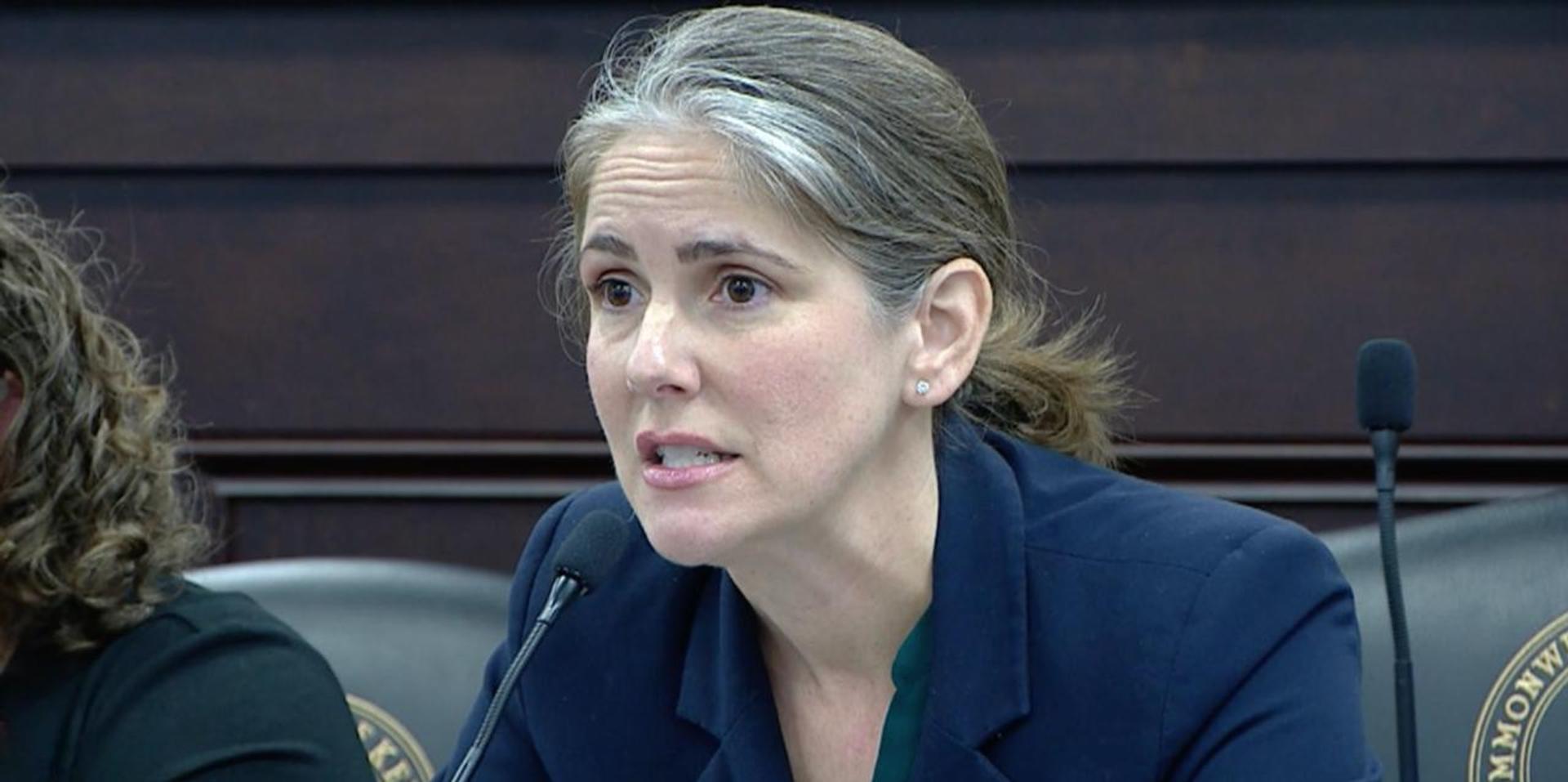 Dem Kentucky rep says she 'doesn't feel good about being white' while arguing for DEI in education