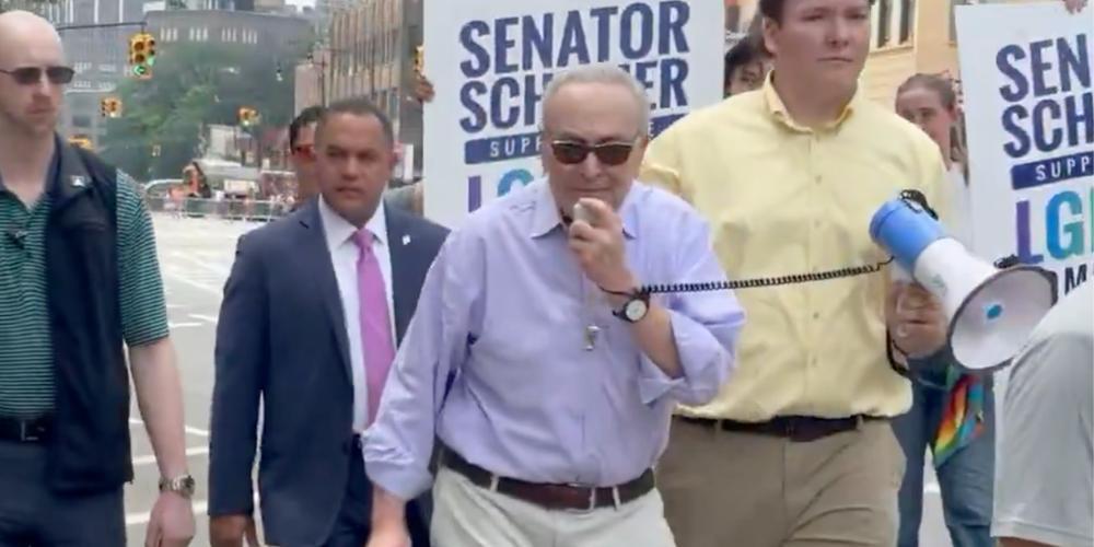 Schumer ruthlessly booed by 'Free Palestine' activists at NYC Pride parade after socialists sweep primaries