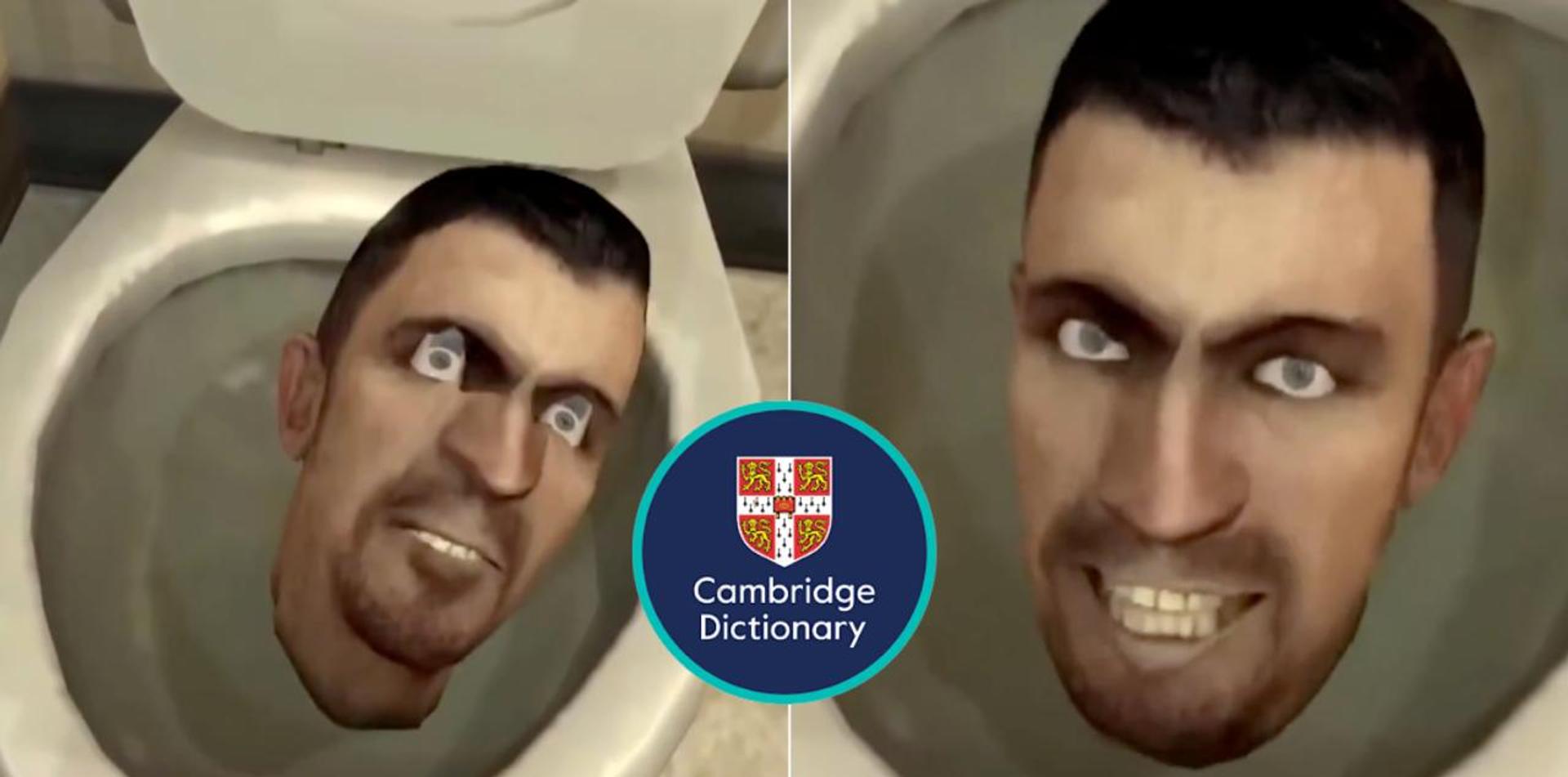 Skibidi, delulu, tradwife added to Cambridge Dictionary