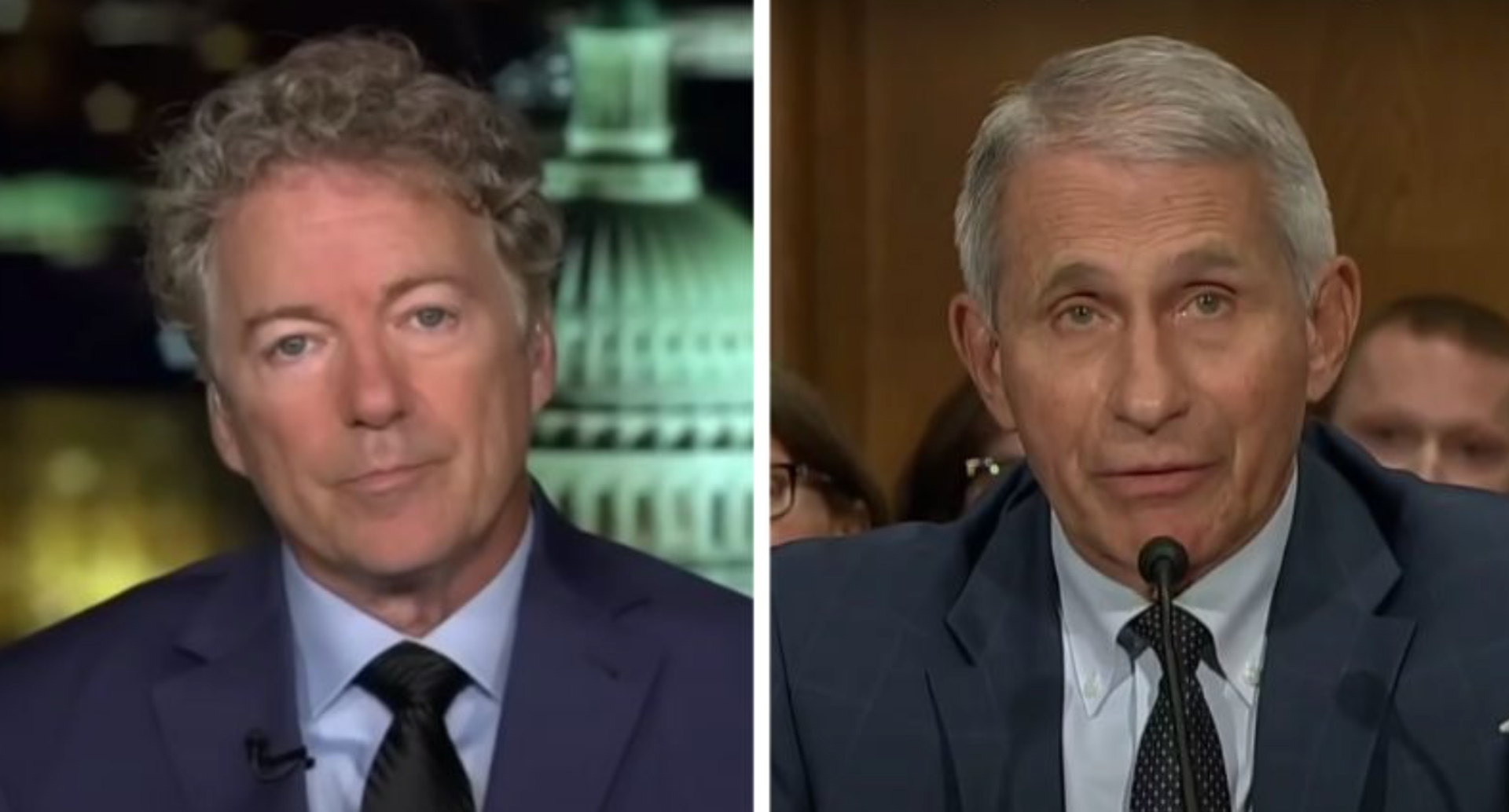 Senate committee to vote on holding fauci in contempt over refusal to answer questions despite sweeping pardon