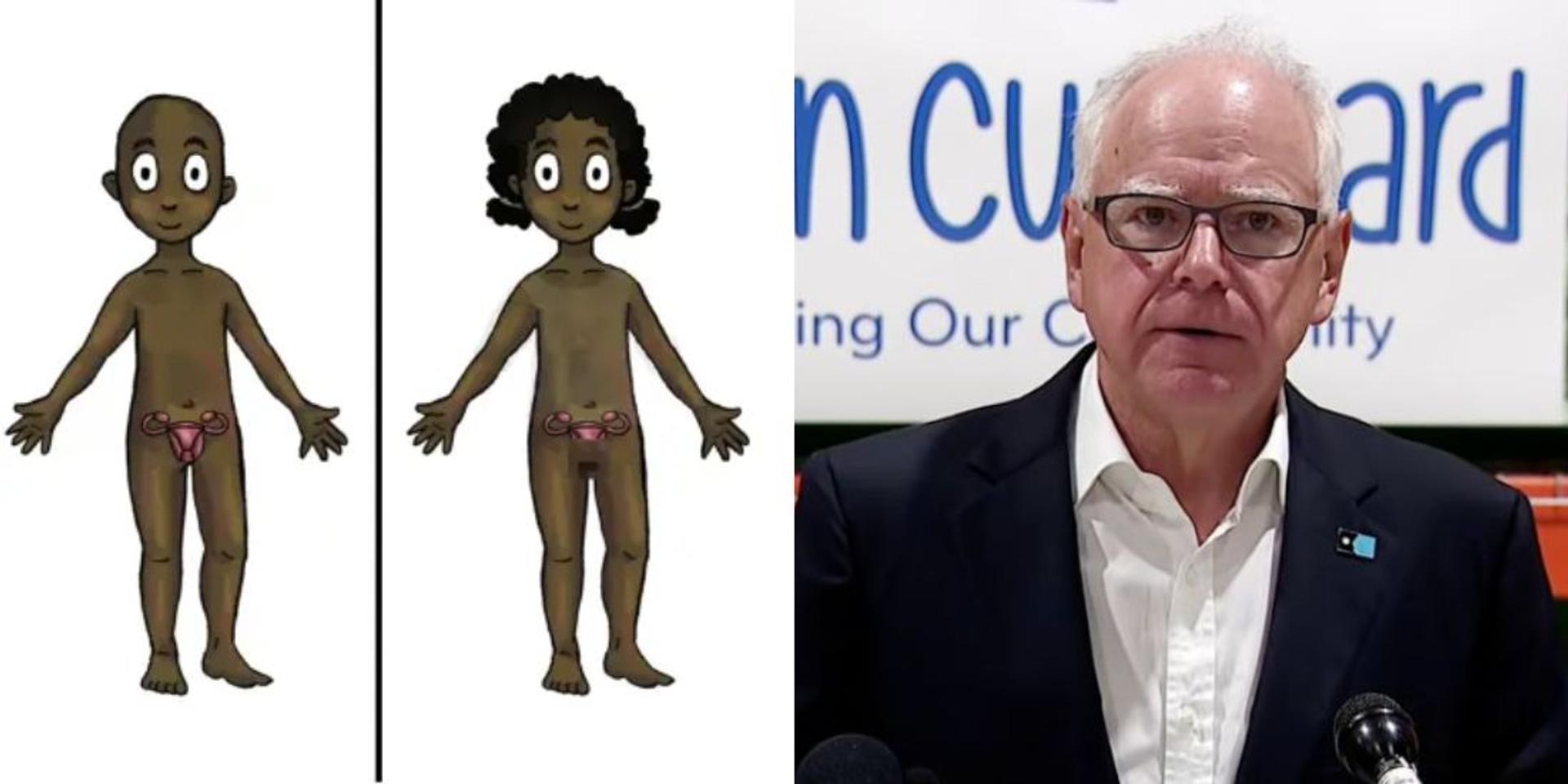 Taxpayer-funded trans dolls with removable genitalia to be available to 4-year-olds in Minnesota schools