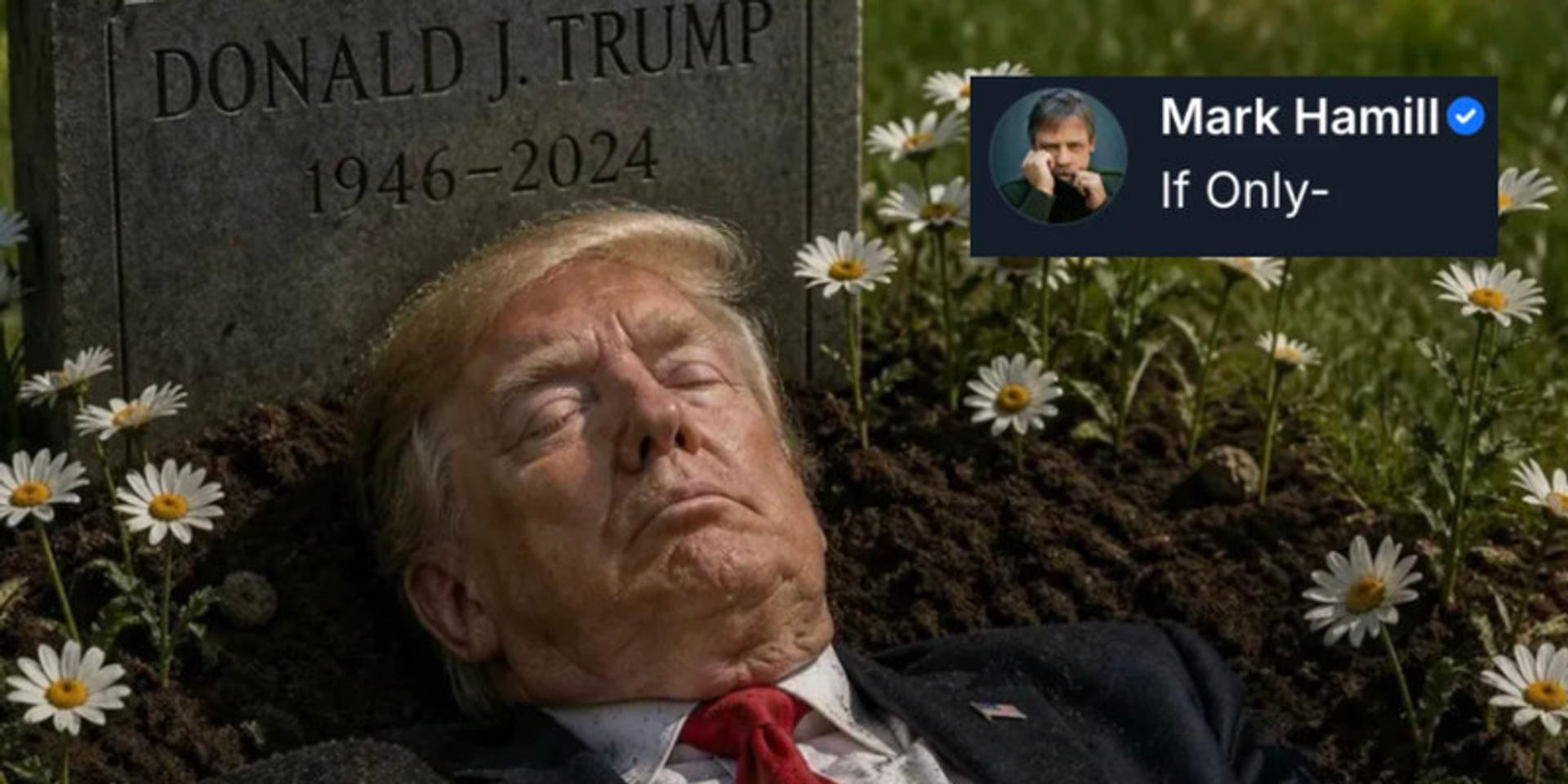 Mark Hamill posts image of dead President Trump with caption 'If Only' days after assassination attempt