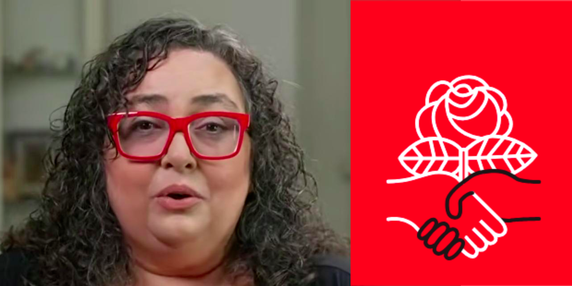 DSA platform seeks to abolish US Senate, ICE, presidency, Supreme Court, US borders under socialist utopia