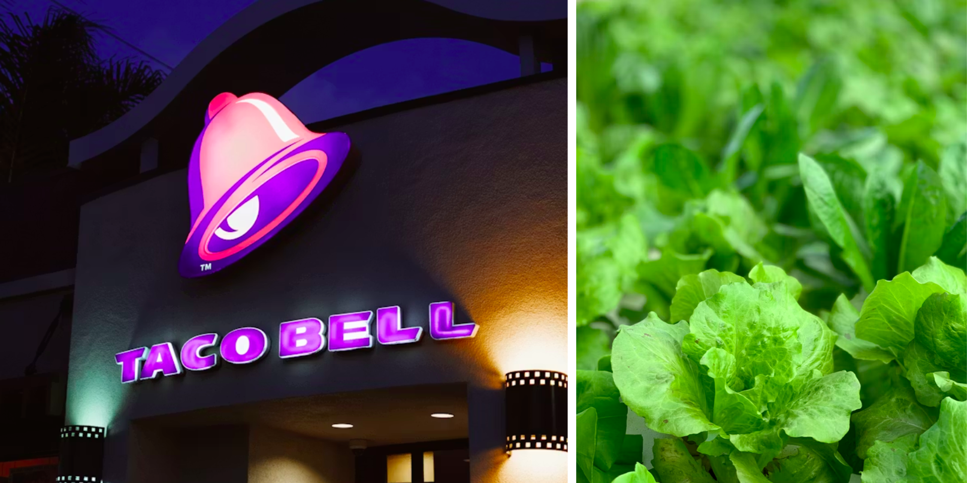 BREAKING: Feds investigate Taco Bell over diarrhea-causing parasite