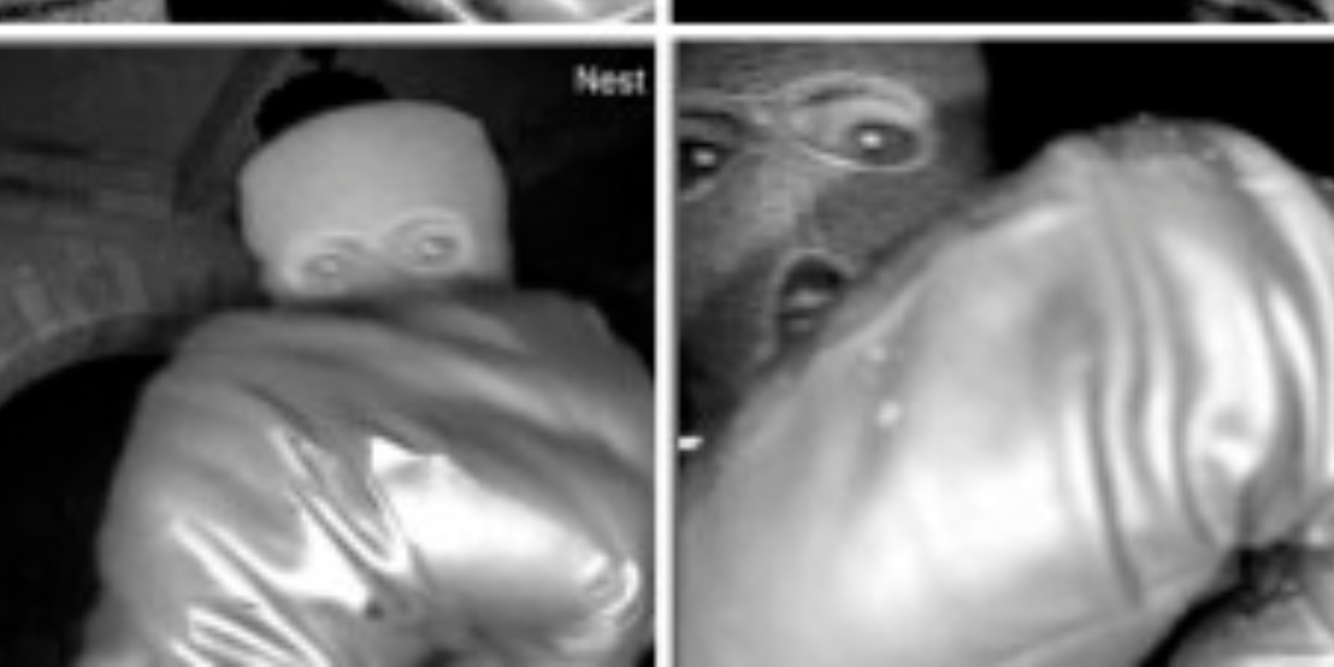 Black glove found near Nancy Guthrie's home matches glove seen on video, submitted for DNA testing: FBI