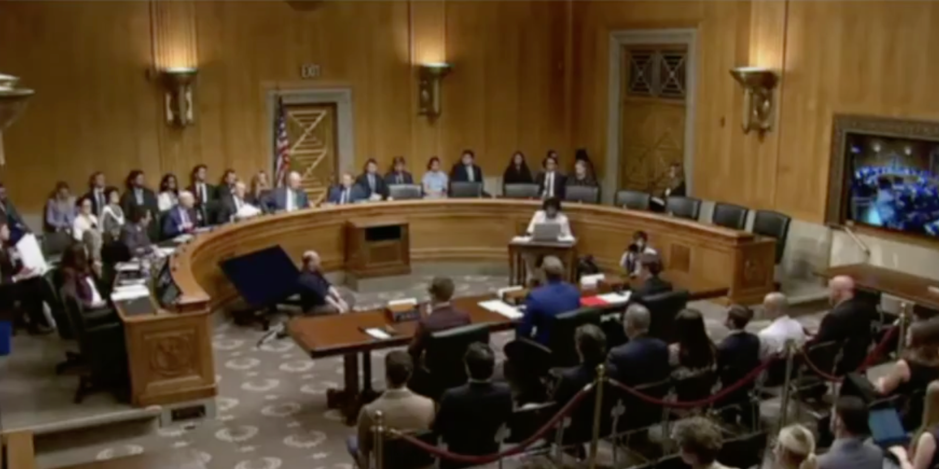 Democrats NO-SHOW Senate hearing on taxpayer fraud as Nick Shirley urges Congress to 'put Americans first'