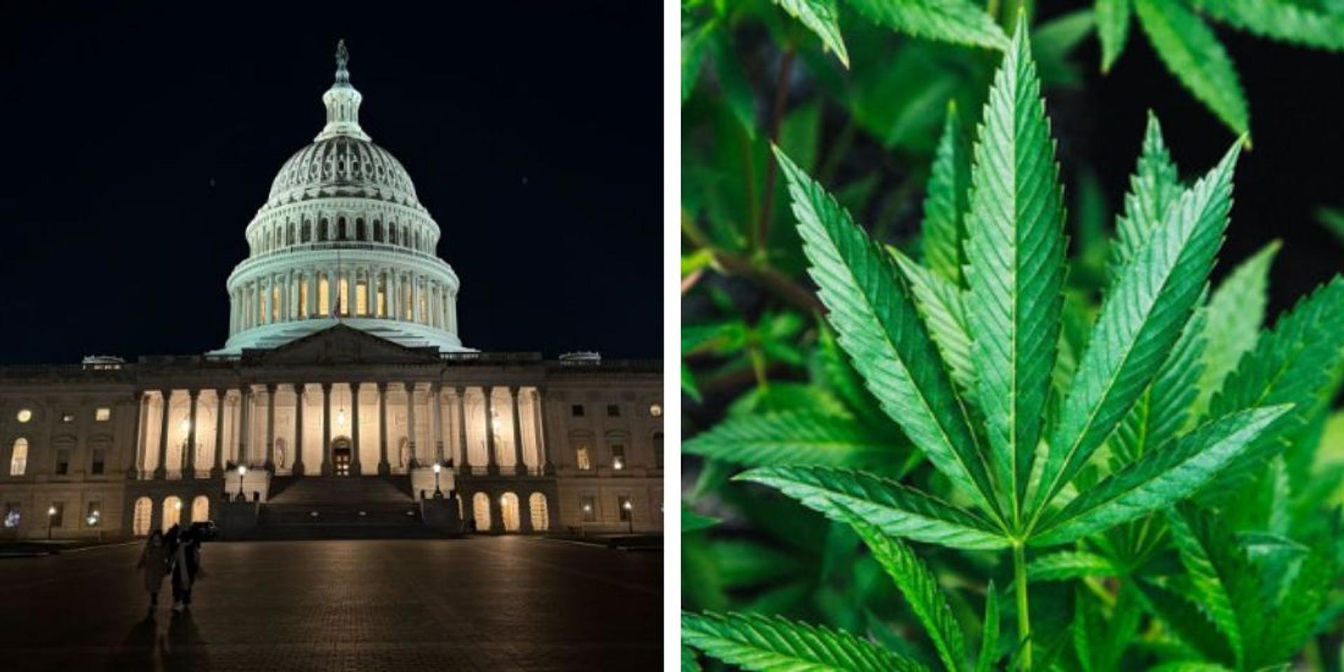 Bill to reopen government includes plan to ban THC gummies, drinks, hemp
