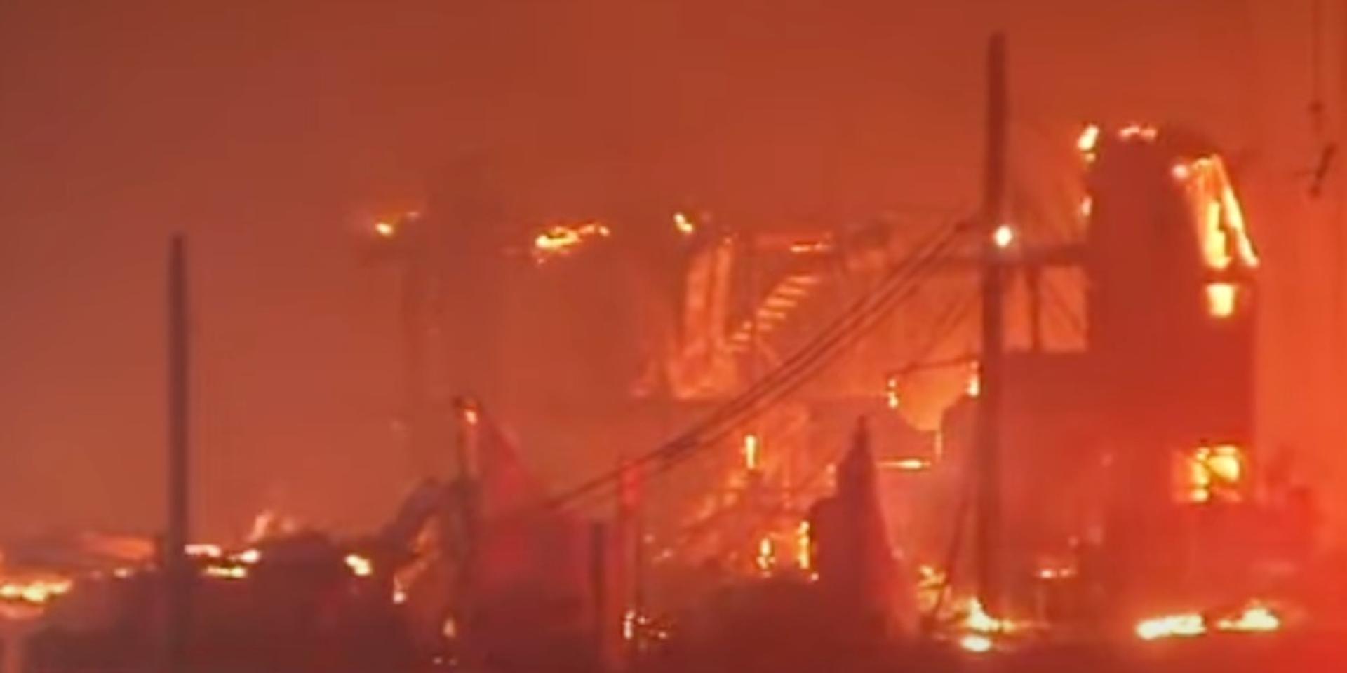 Just 13% of homes destroyed in LA fires have permit to rebuild as lawsuit claims 'endangered plants' hindered firefighting efforts