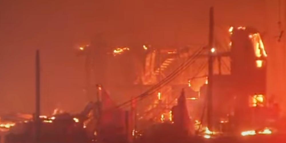 Just 13% of homes destroyed in LA fires have permit to rebuild as lawsuit claims 'endangered plants' hindered firefighting efforts