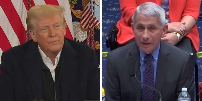 BREAKING: Trump blasts Fauci from Oval Office after disastrous Senate hearing