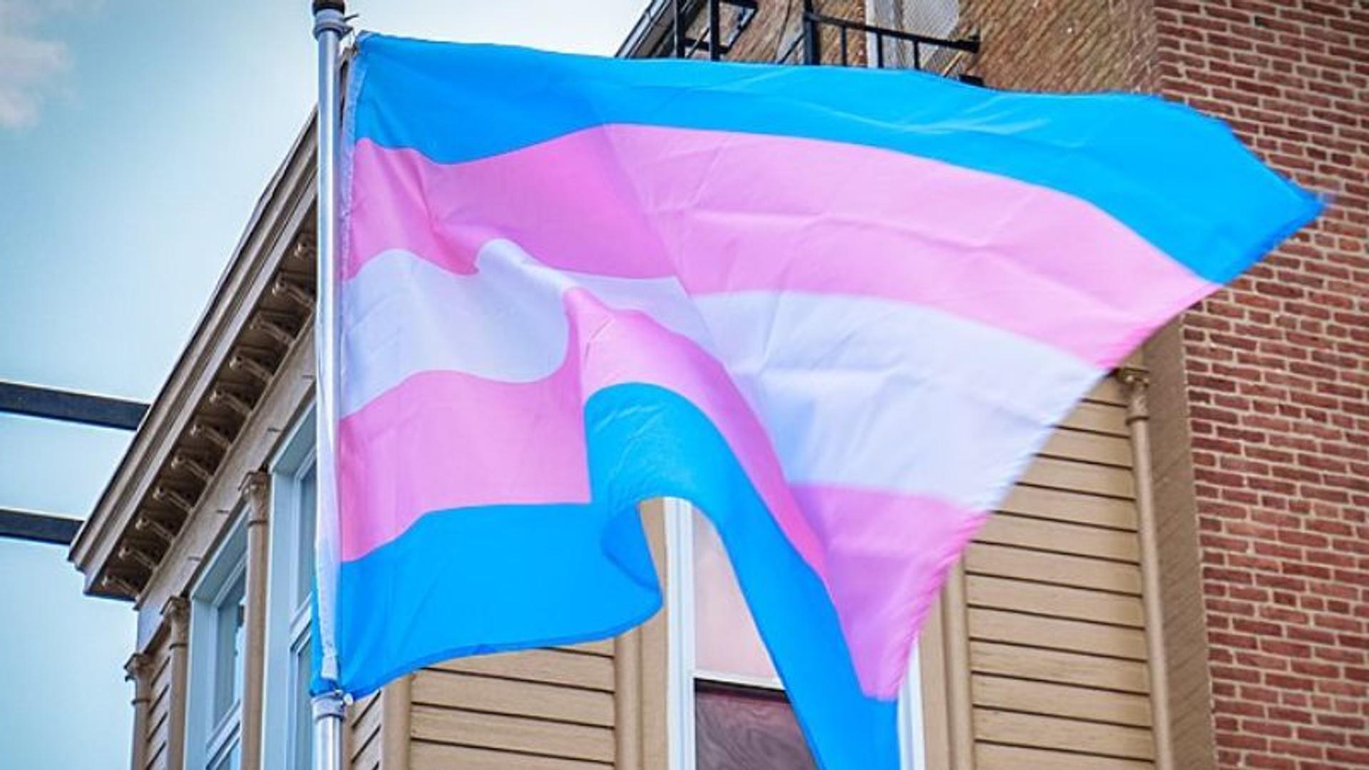 College-aged Americans show steep decline in trans identity since 2023: poll